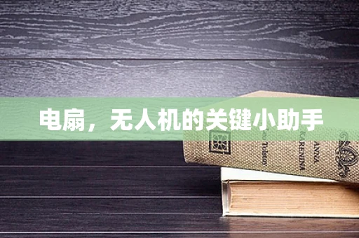电扇，无人机的关键小助手