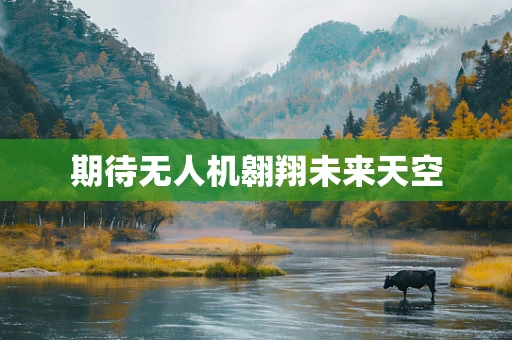 期待无人机翱翔未来天空