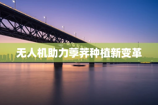 无人机助力荸荠种植新变革