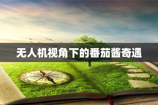 无人机视角下的番茄酱奇遇
