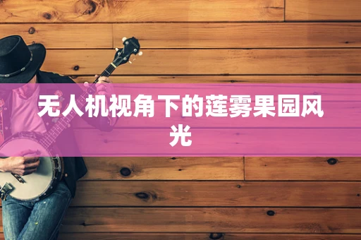 无人机视角下的莲雾果园风光