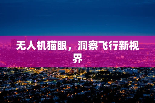 无人机猫眼，洞察飞行新视界