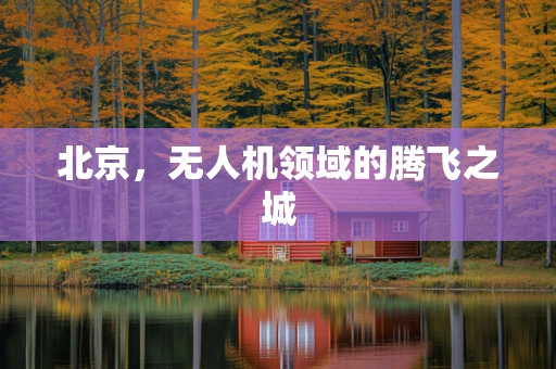北京，无人机领域的腾飞之城