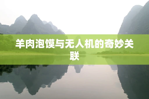羊肉泡馍与无人机的奇妙关联