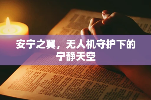 安宁之翼，无人机守护下的宁静天空