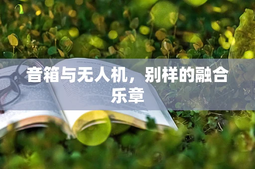 音箱与无人机，别样的融合乐章