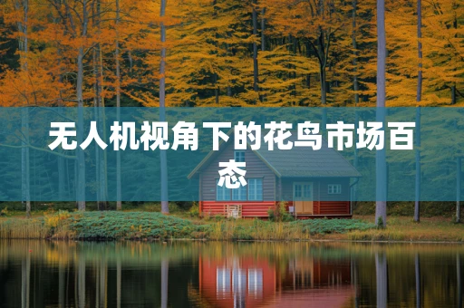 无人机视角下的花鸟市场百态
