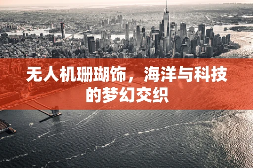 无人机珊瑚饰，海洋与科技的梦幻交织