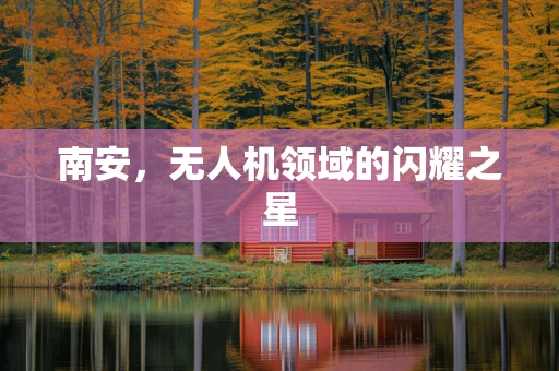 南安，无人机领域的闪耀之星