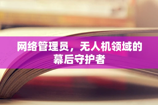网络管理员，无人机领域的幕后守护者