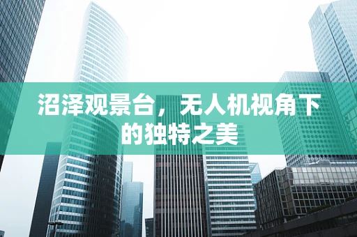 沼泽观景台，无人机视角下的独特之美