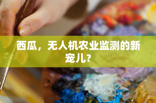 西瓜，无人机农业监测的新宠儿？