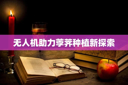 无人机助力荸荠种植新探索