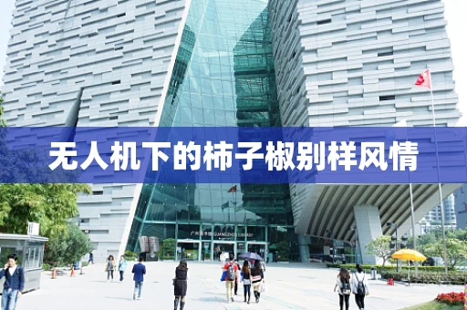 无人机下的柿子椒别样风情