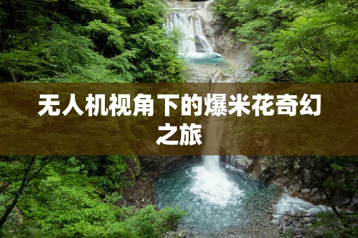 无人机视角下的爆米花奇幻之旅