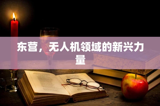东营，无人机领域的新兴力量