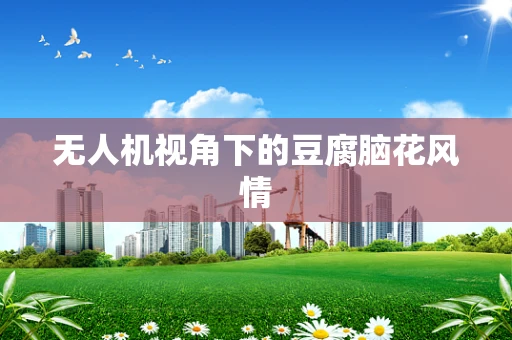 无人机视角下的豆腐脑花风情