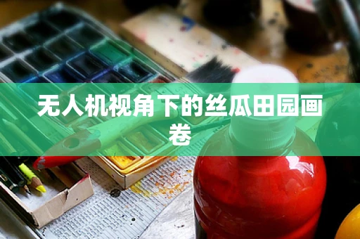 无人机视角下的丝瓜田园画卷