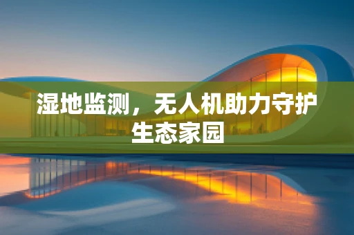 湿地监测，无人机助力守护生态家园