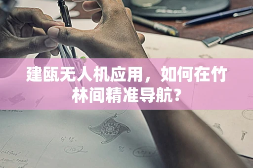 建瓯无人机应用，如何在竹林间精准导航？