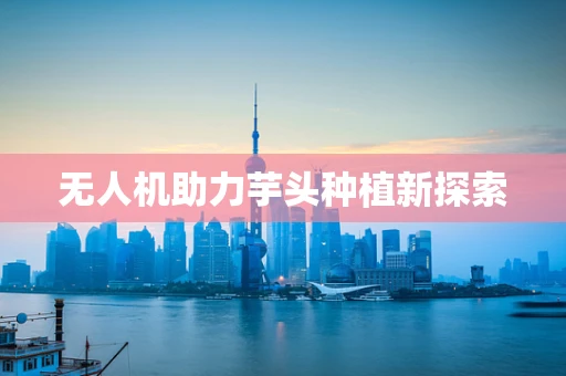 无人机助力芋头种植新探索