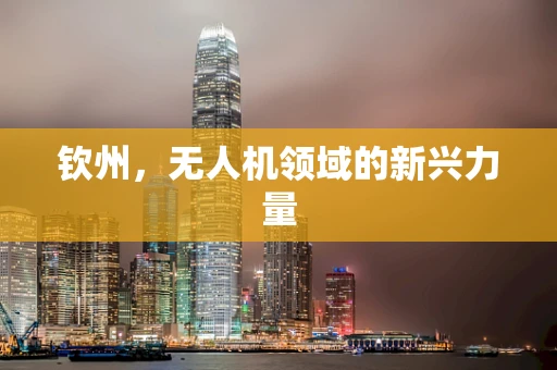 钦州，无人机领域的新兴力量