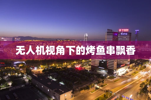 无人机视角下的烤鱼串飘香