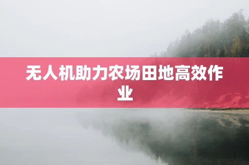 无人机助力农场田地高效作业