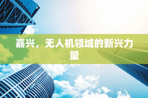 嘉兴，无人机领域的新兴力量