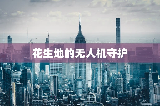 花生地的无人机守护