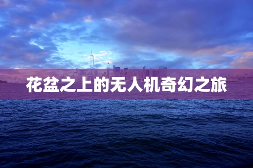 花盆之上的无人机奇幻之旅