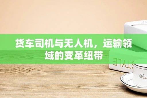 货车司机与无人机，运输领域的变革纽带