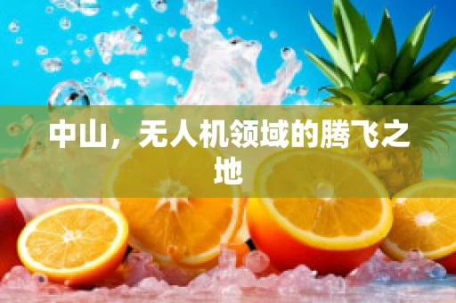 中山，无人机领域的腾飞之地