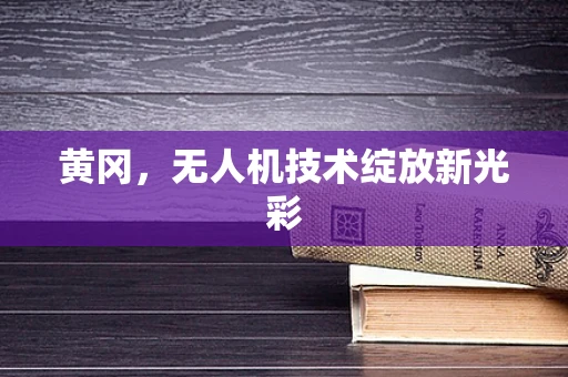 黄冈，无人机技术绽放新光彩