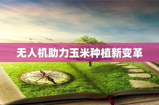 无人机助力玉米种植新变革