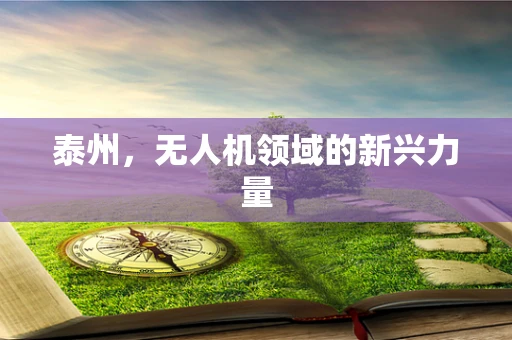 泰州，无人机领域的新兴力量