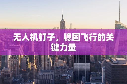 无人机钉子，稳固飞行的关键力量