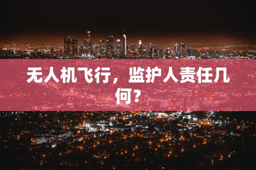 无人机飞行，监护人责任几何？