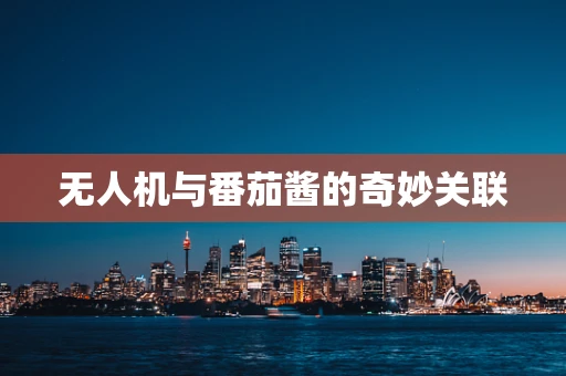 无人机与番茄酱的奇妙关联