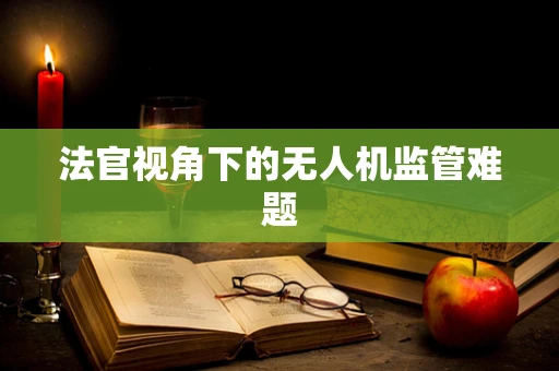 法官视角下的无人机监管难题