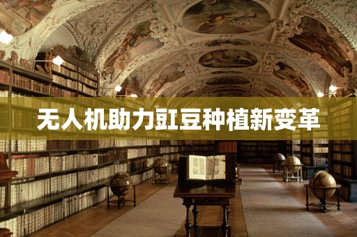 无人机助力豇豆种植新变革