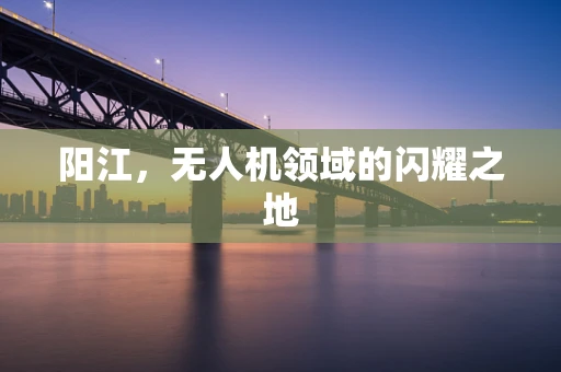 阳江，无人机领域的闪耀之地