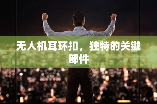 无人机耳环扣，独特的关键部件