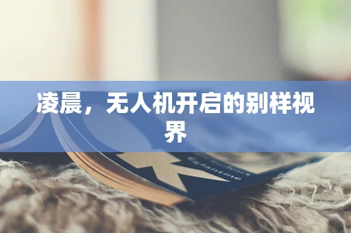 凌晨，无人机开启的别样视界