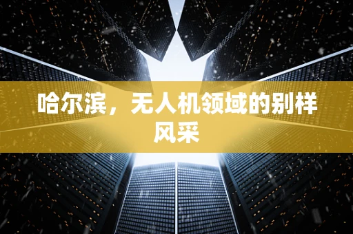 哈尔滨，无人机领域的别样风采