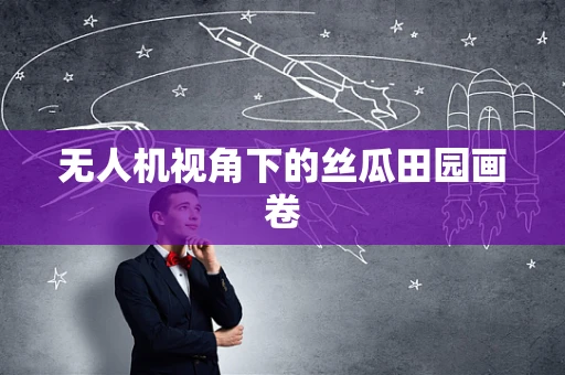 无人机视角下的丝瓜田园画卷