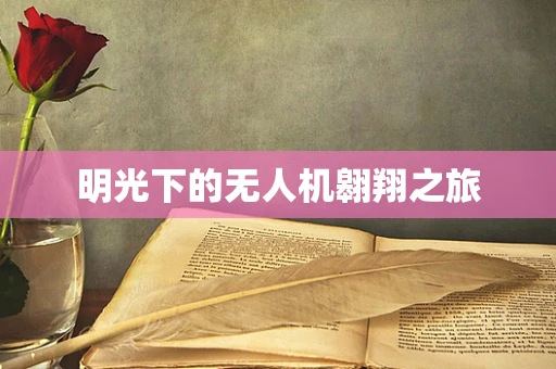 明光下的无人机翱翔之旅