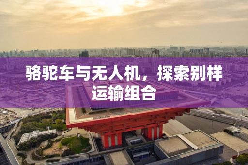 骆驼车与无人机，探索别样运输组合