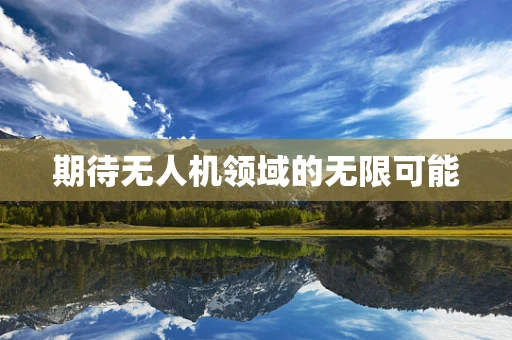 期待无人机领域的无限可能