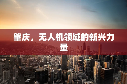 肇庆，无人机领域的新兴力量